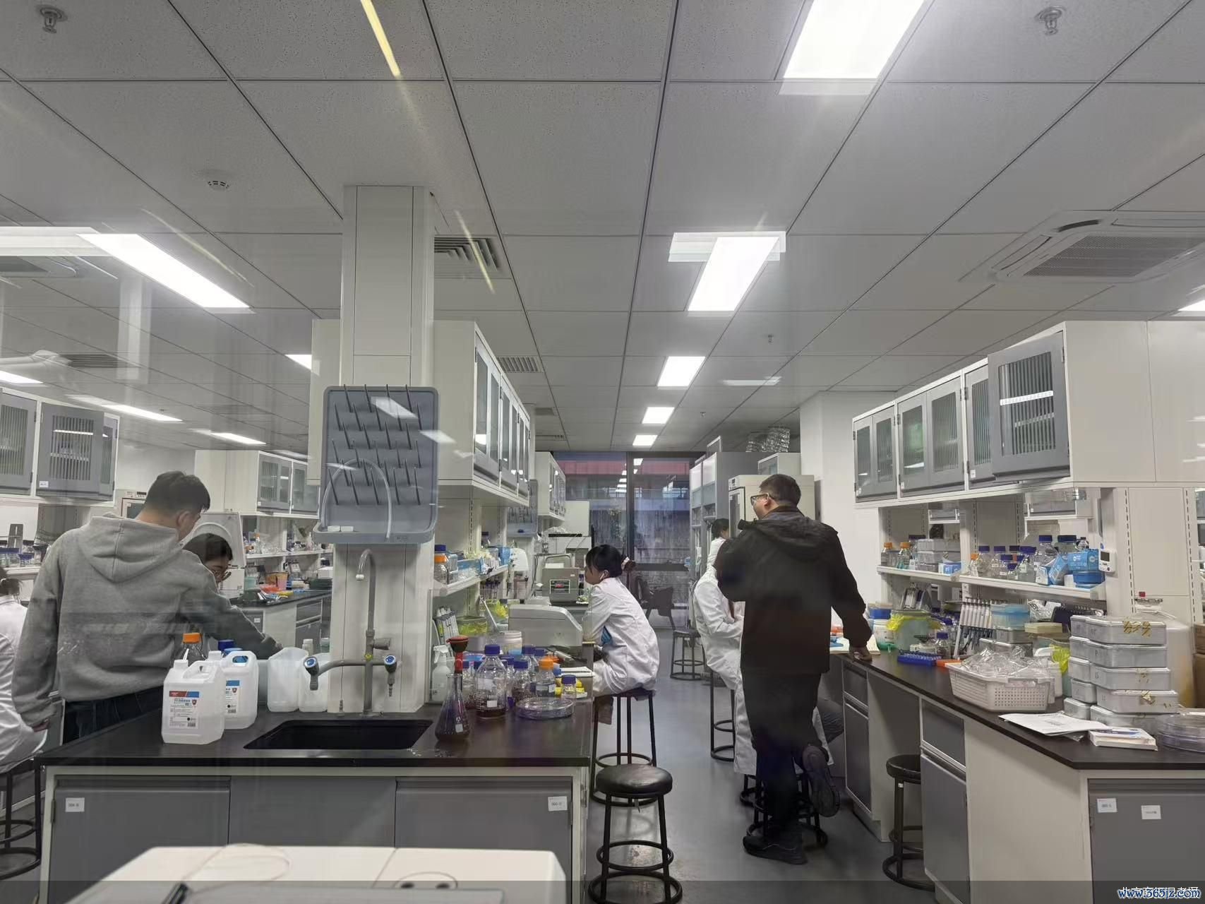 北京商报记者摄