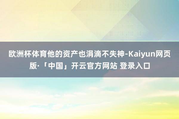 欧洲杯体育他的资产也涓滴不失神-Kaiyun网页版·「中国」开云官方网站 登录入口